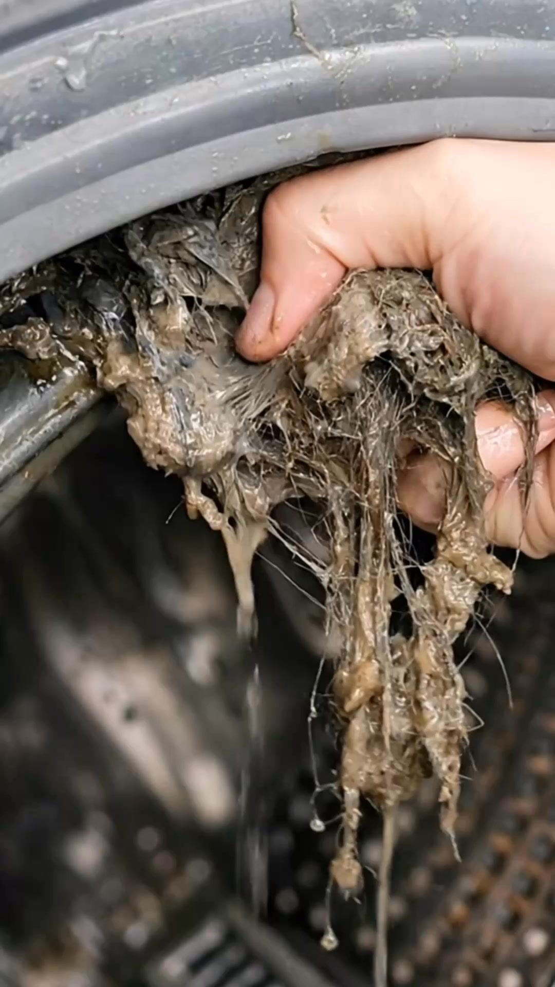 Samantha C Facebook ad: Get Rid of Bacteria & Pet Odor from Your Washer