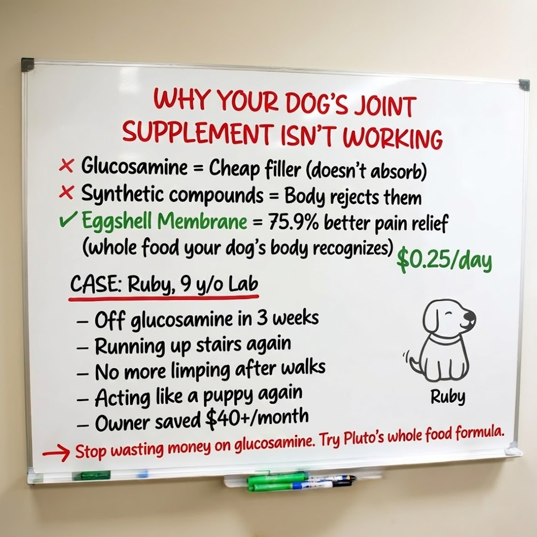 Dr. Angela Reynolds, Veterinarian Facebook ad: Help your dog move freely again