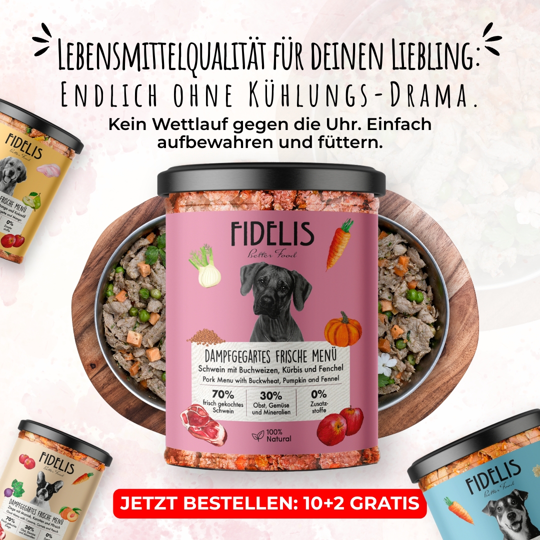 Fidelis.dog Facebook ad