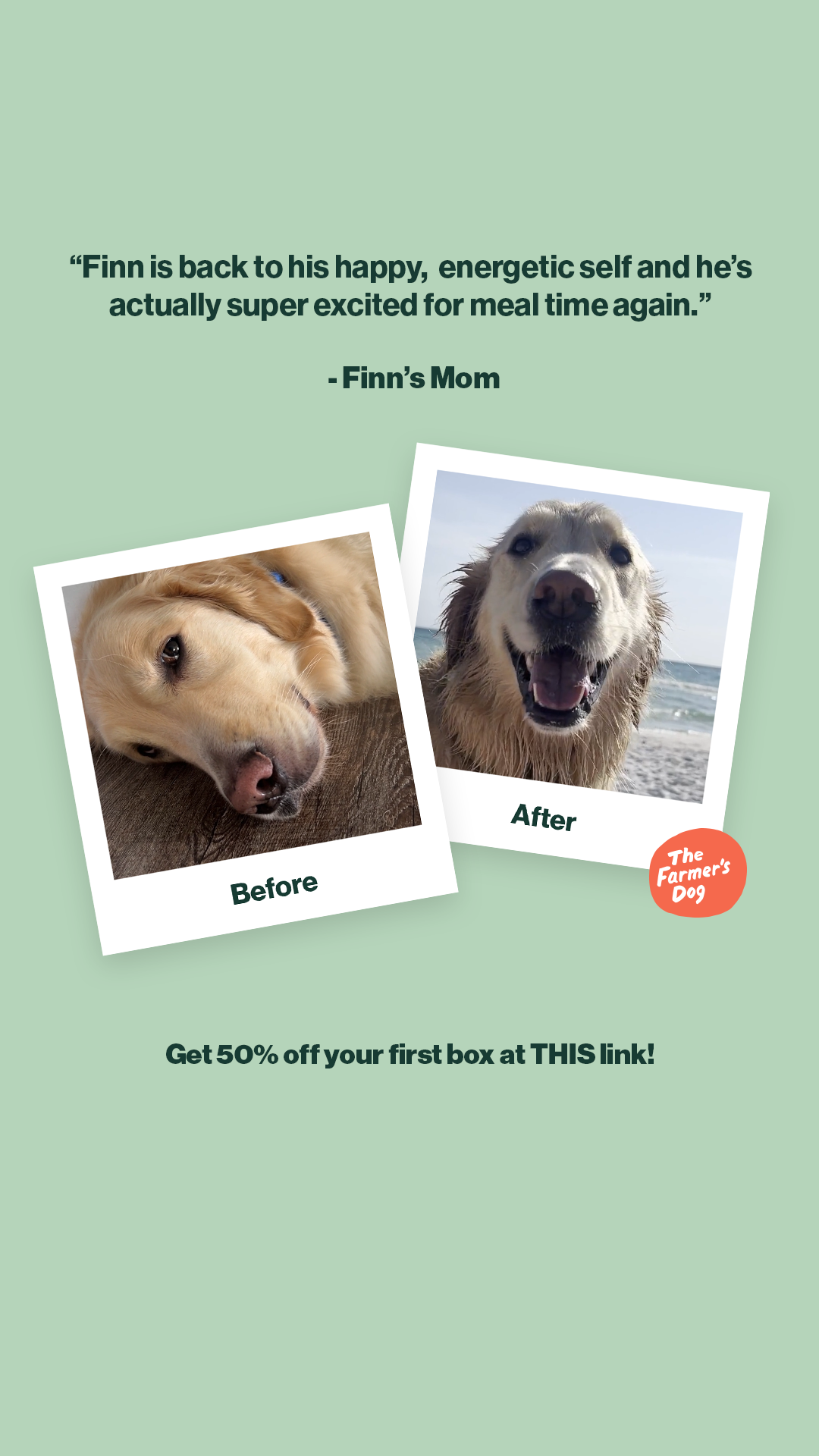 The Farmer's Dog Facebook ad
