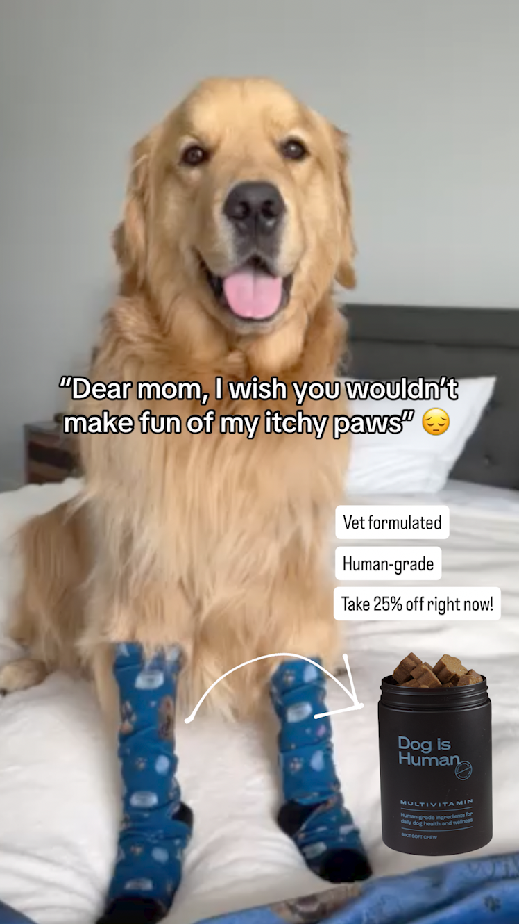 Dog is Human Facebook ad