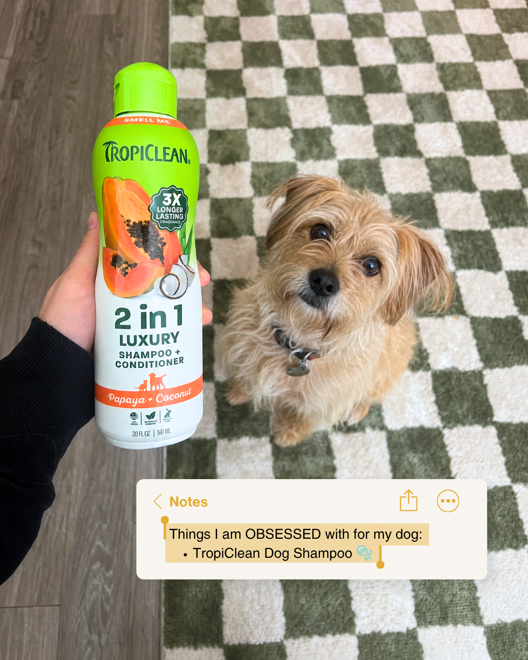 TropiClean Pet Products Facebook ad: My Dog Has Never Smelled Better