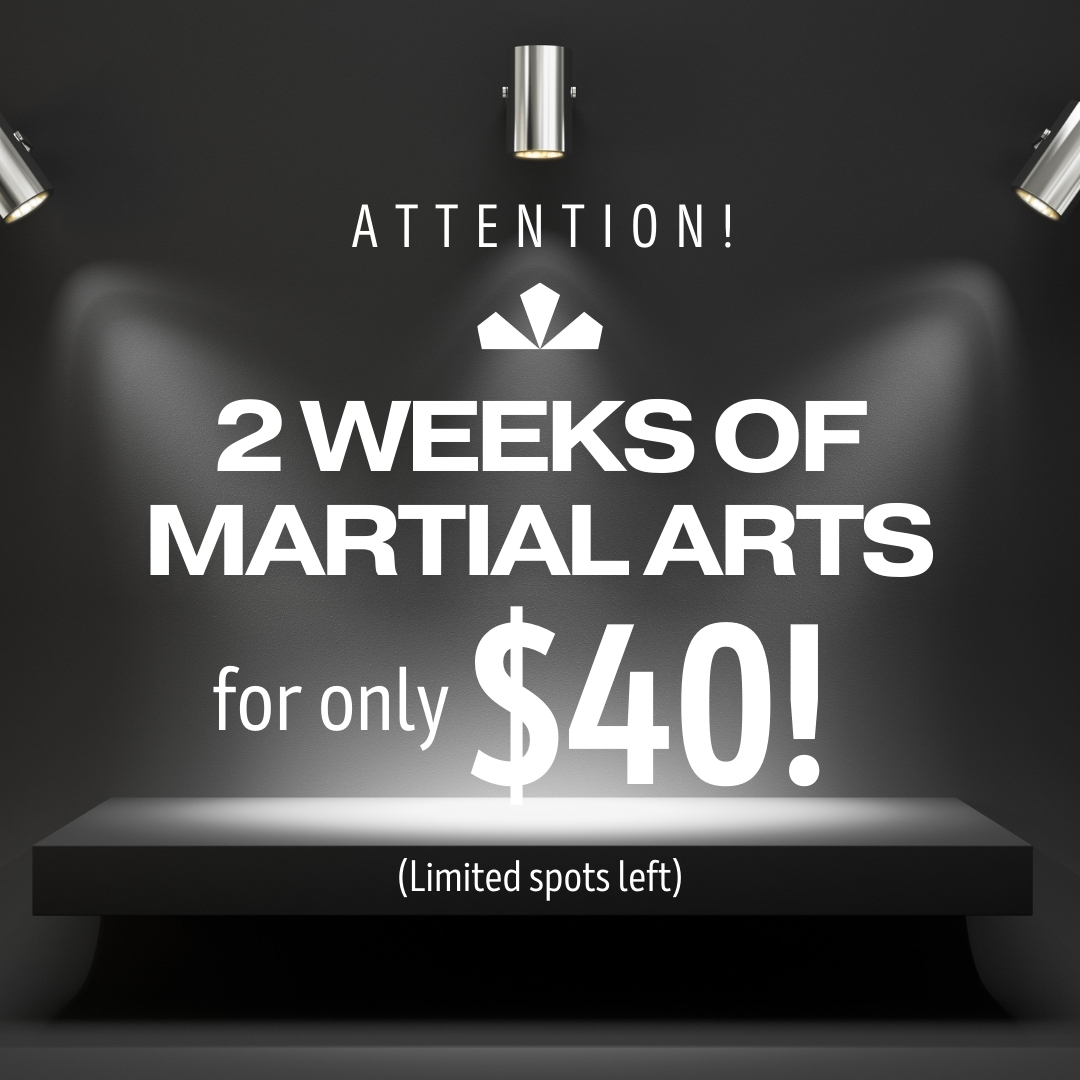 North Hills ATA Martial Arts Facebook ad