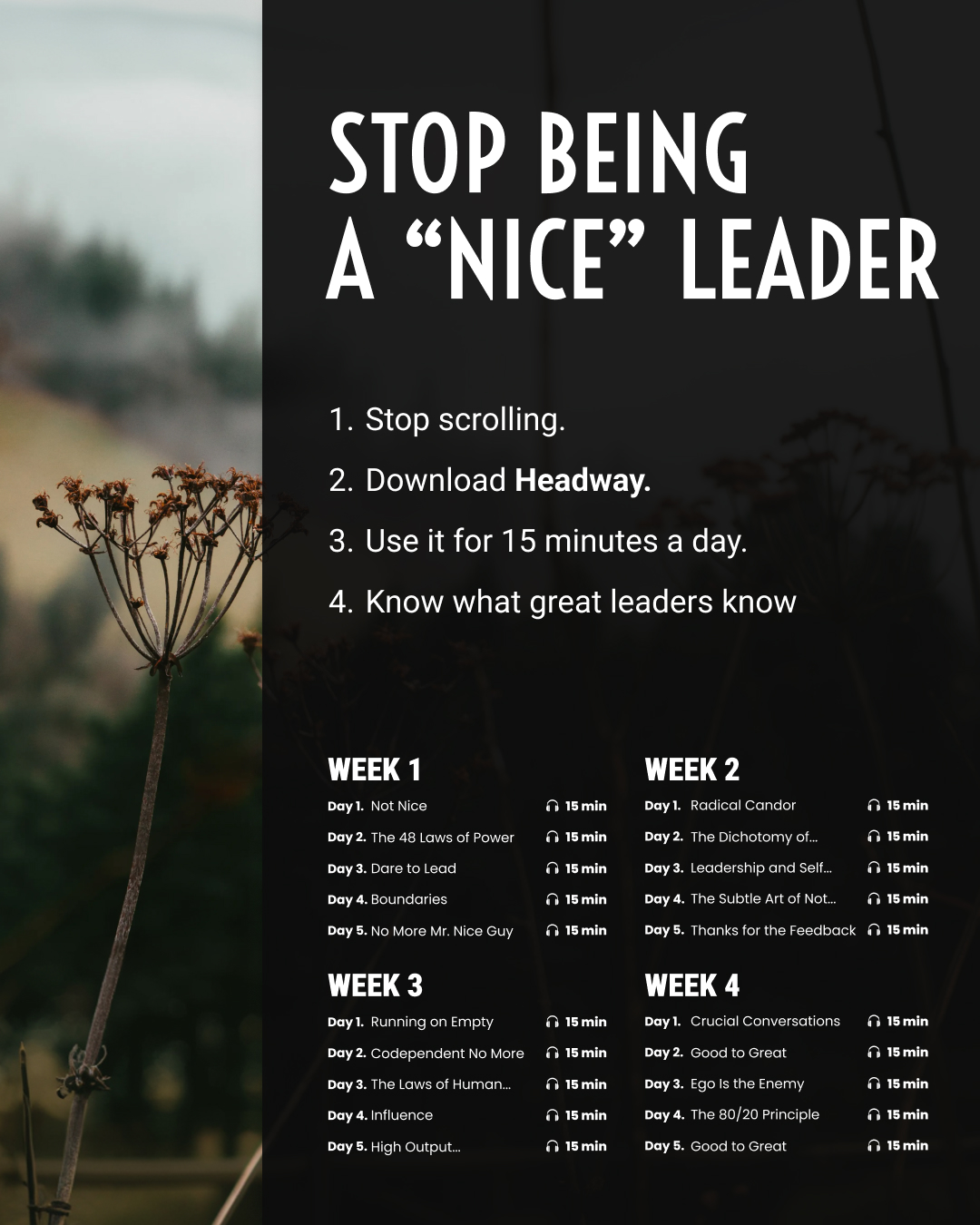 Key Insights From Bestsellers Facebook ad
