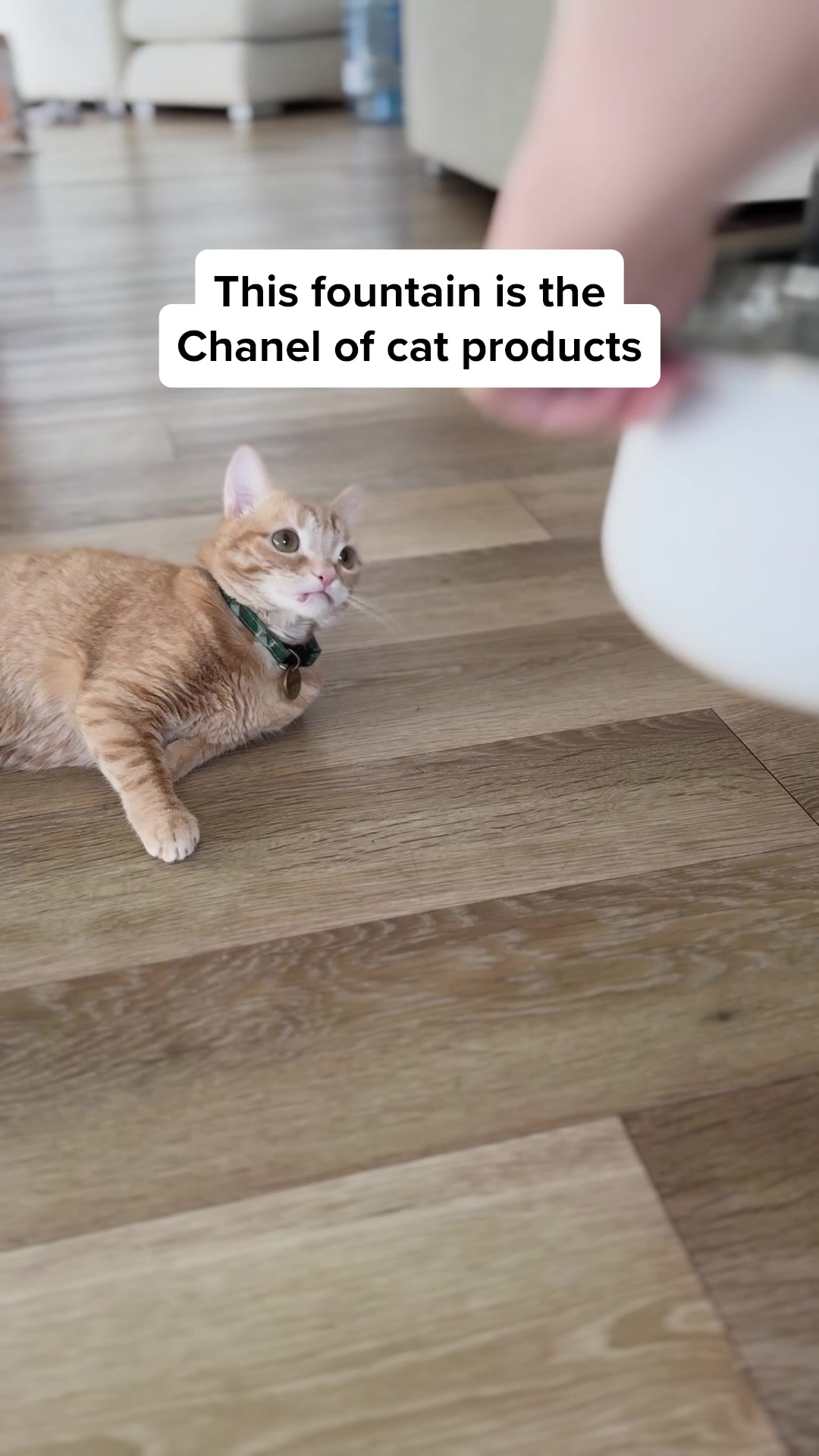KittySpout Facebook ad: The First Ever Colored Stainless Steel Fountains