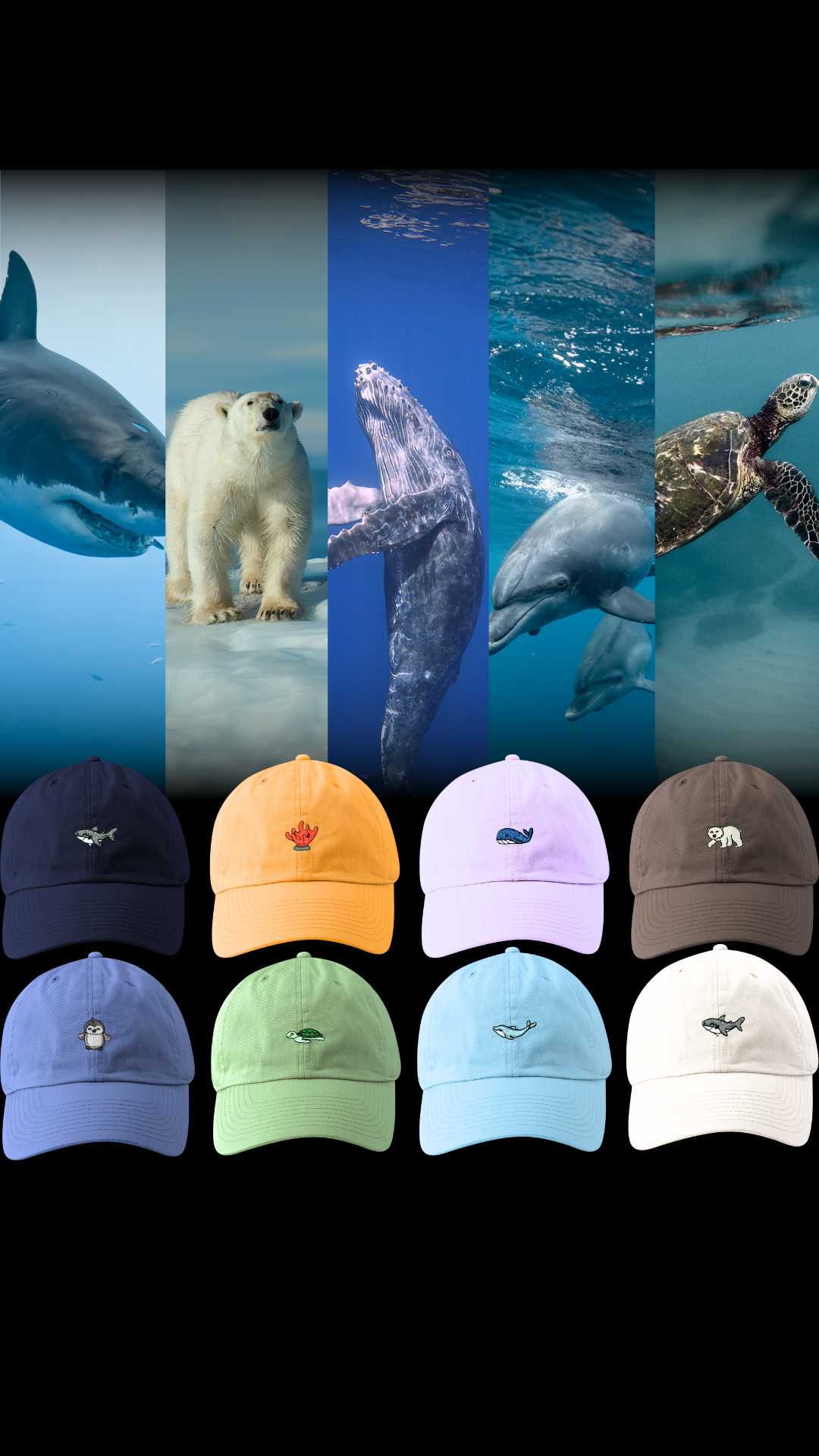 Club Ocean Facebook ad
