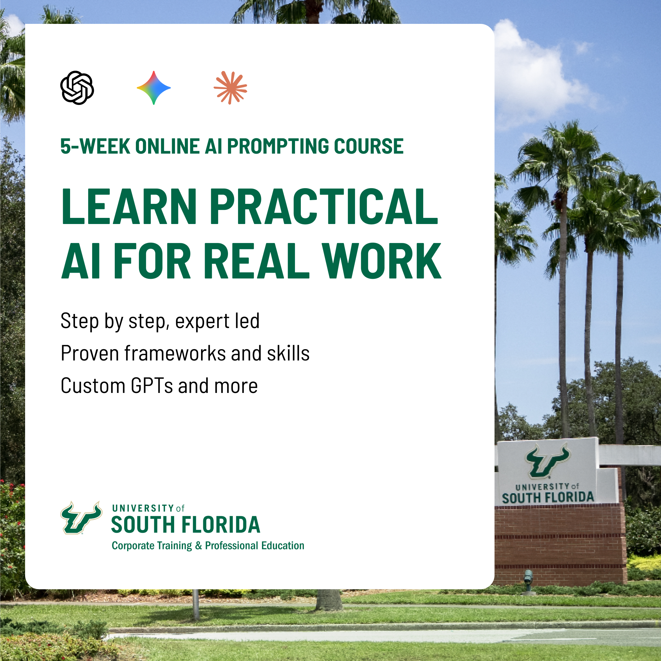 USF Corporate Training and Professional Education Online Certificates Facebook ad