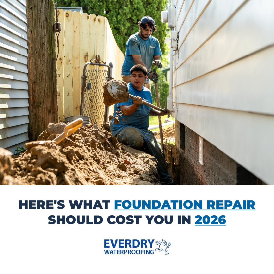 EverDry Waterproofing of Michiana Facebook ad