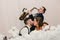 Rob Muir Music