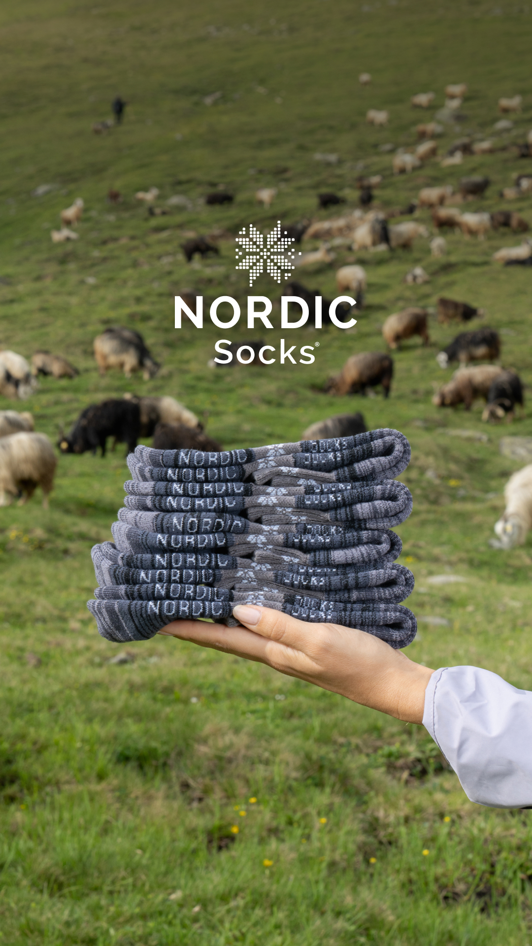 Nordic Socks Facebook ad