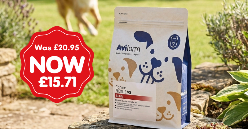 Aviform Nutrition UK - Horse & Dog Facebook ad