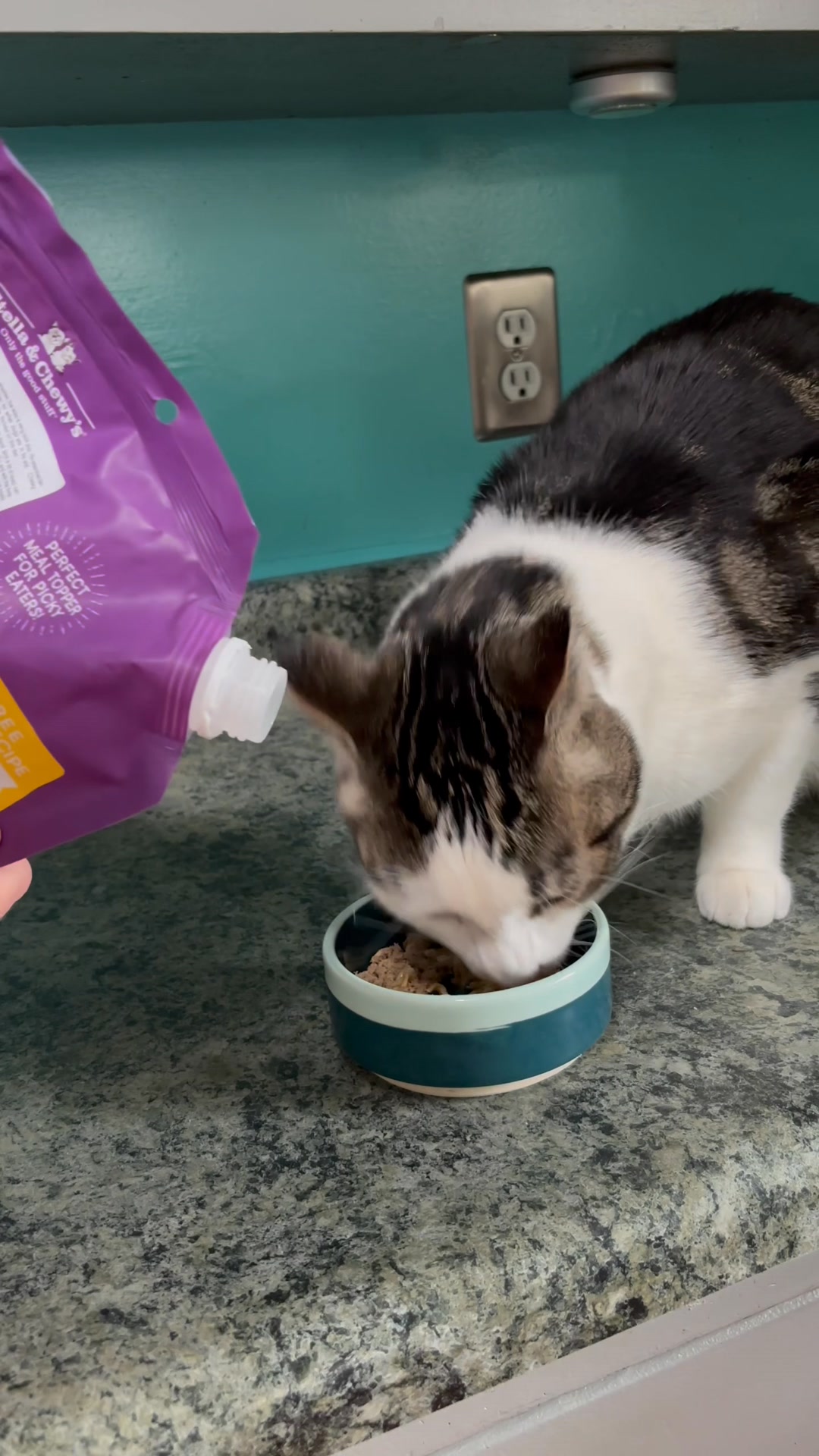 Stella & Chewy's Facebook ad