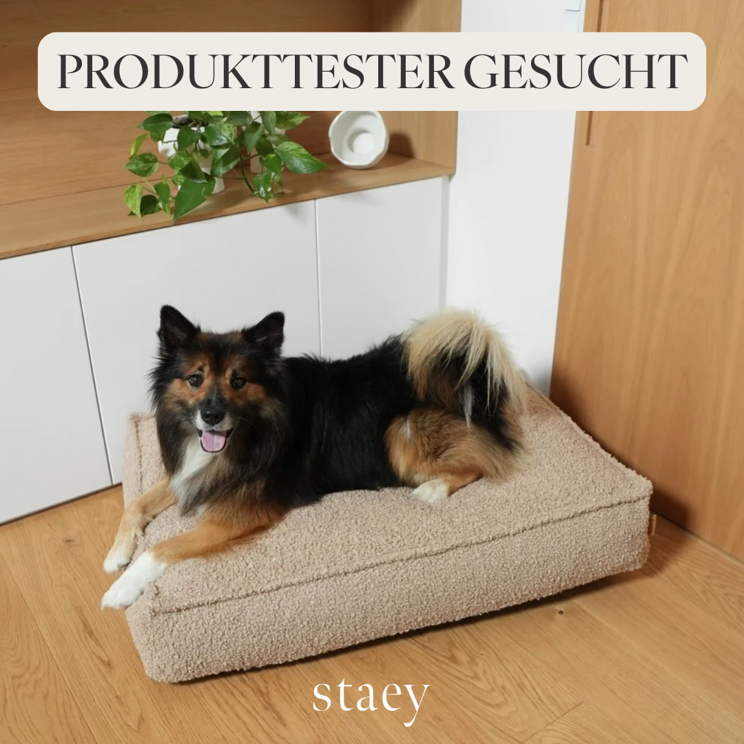 Staey Facebook ad