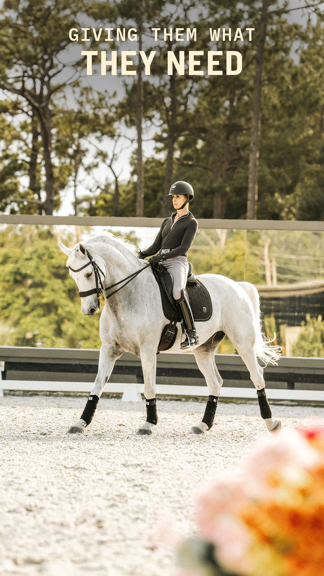 Purina Horse Facebook ad: You're at your best when your horse is…