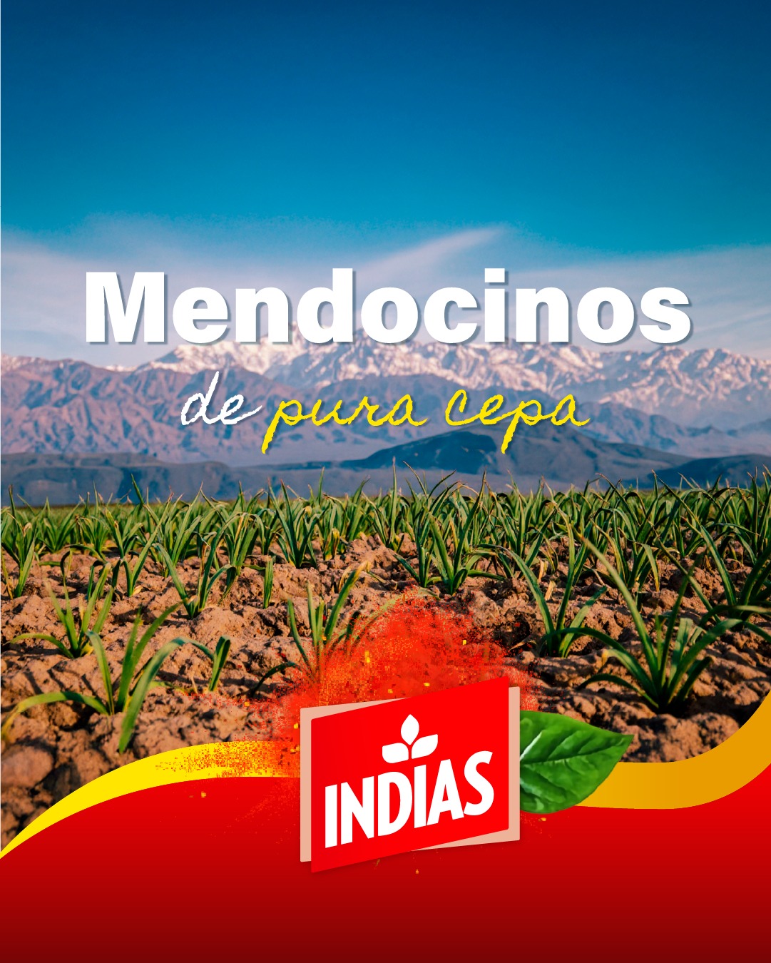 Indias alimentos Facebook ad: Somos 𝙀𝙨𝙥𝙚𝙘𝙞𝙖𝙡𝙢𝙚𝙣𝙩𝙚 𝙙𝙚 𝙈𝙚𝙣𝙙𝙤𝙯𝙖 