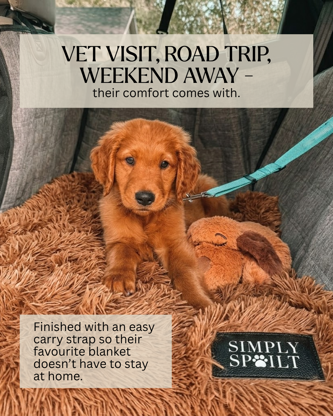 Simply Spoilt  - Luxury pet products Facebook ad
