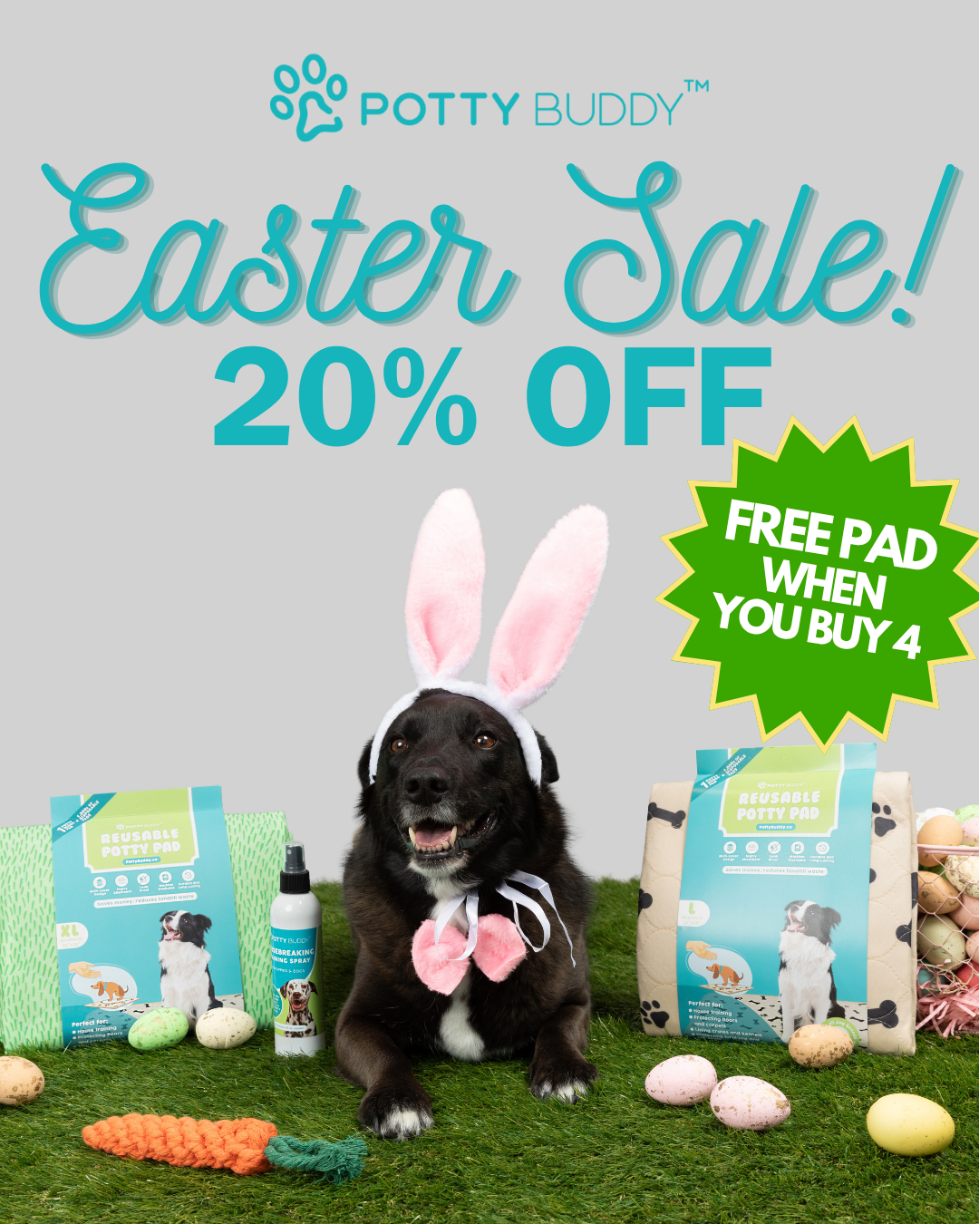 Potty Buddy Facebook ad