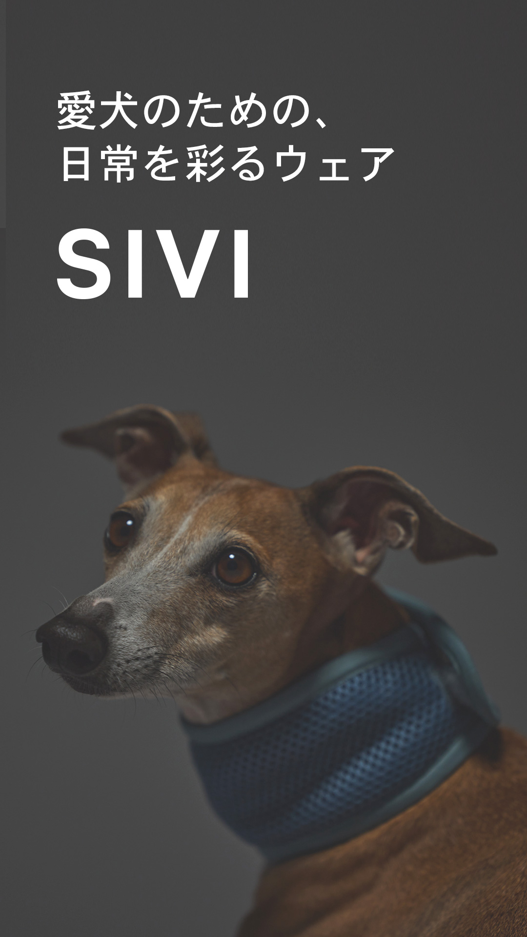 SIVI Facebook ad