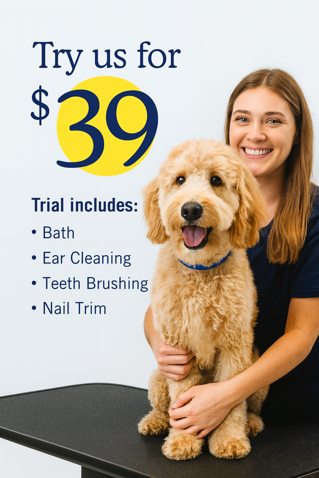 Scenthound Facebook ad from Aug 1, 2026