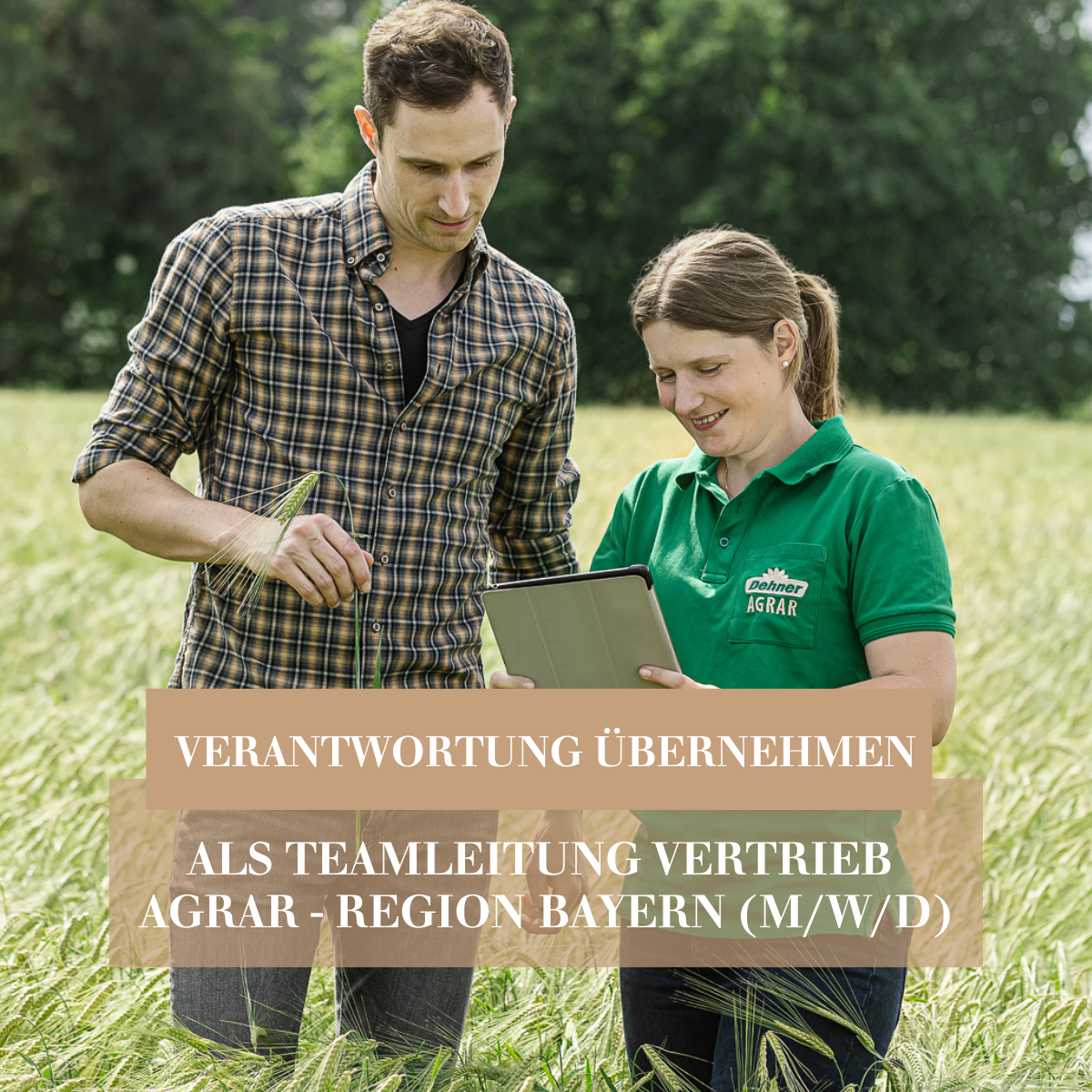 Dehner Karriere Facebook ad