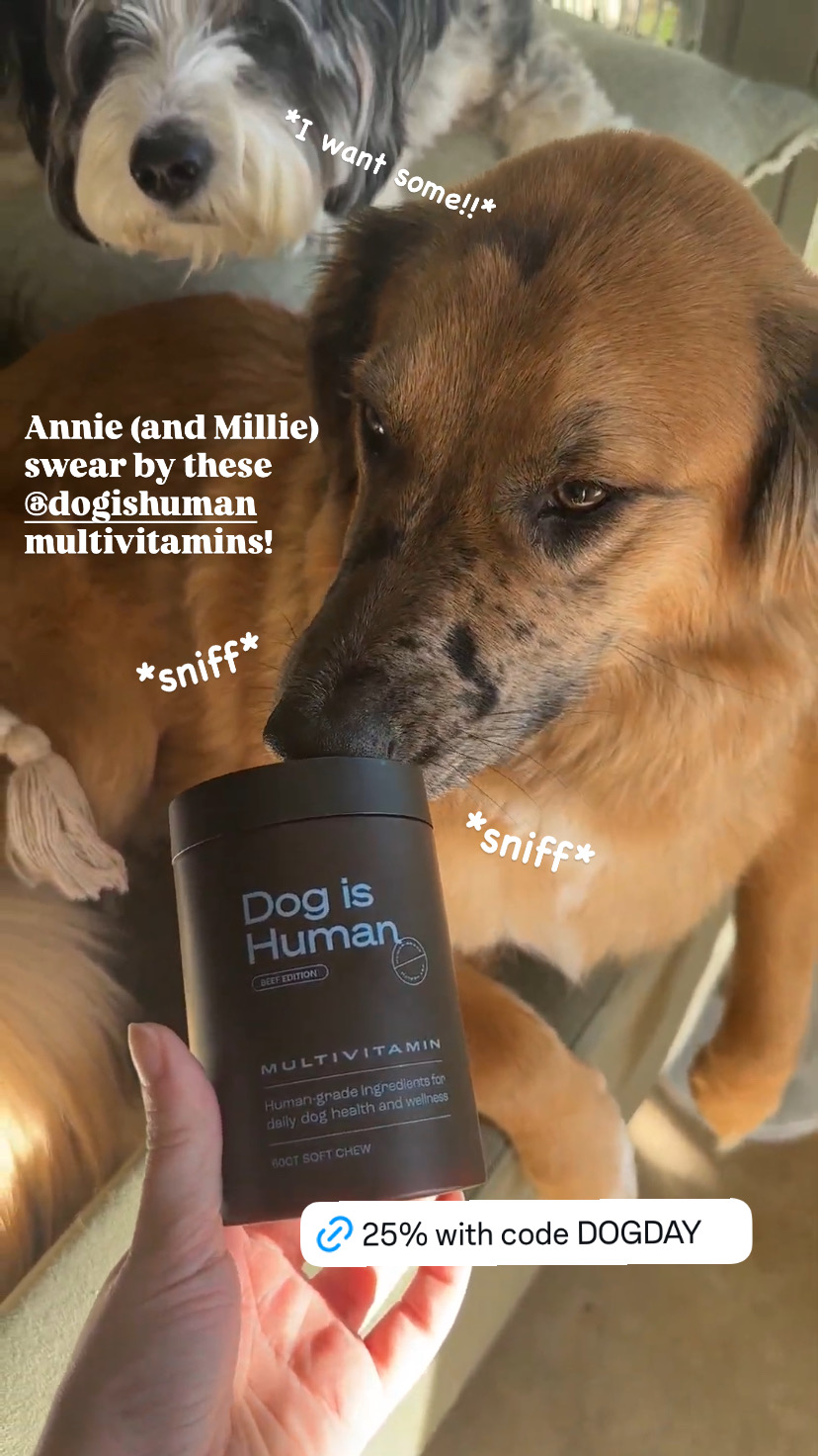 Dog is Human Facebook ad