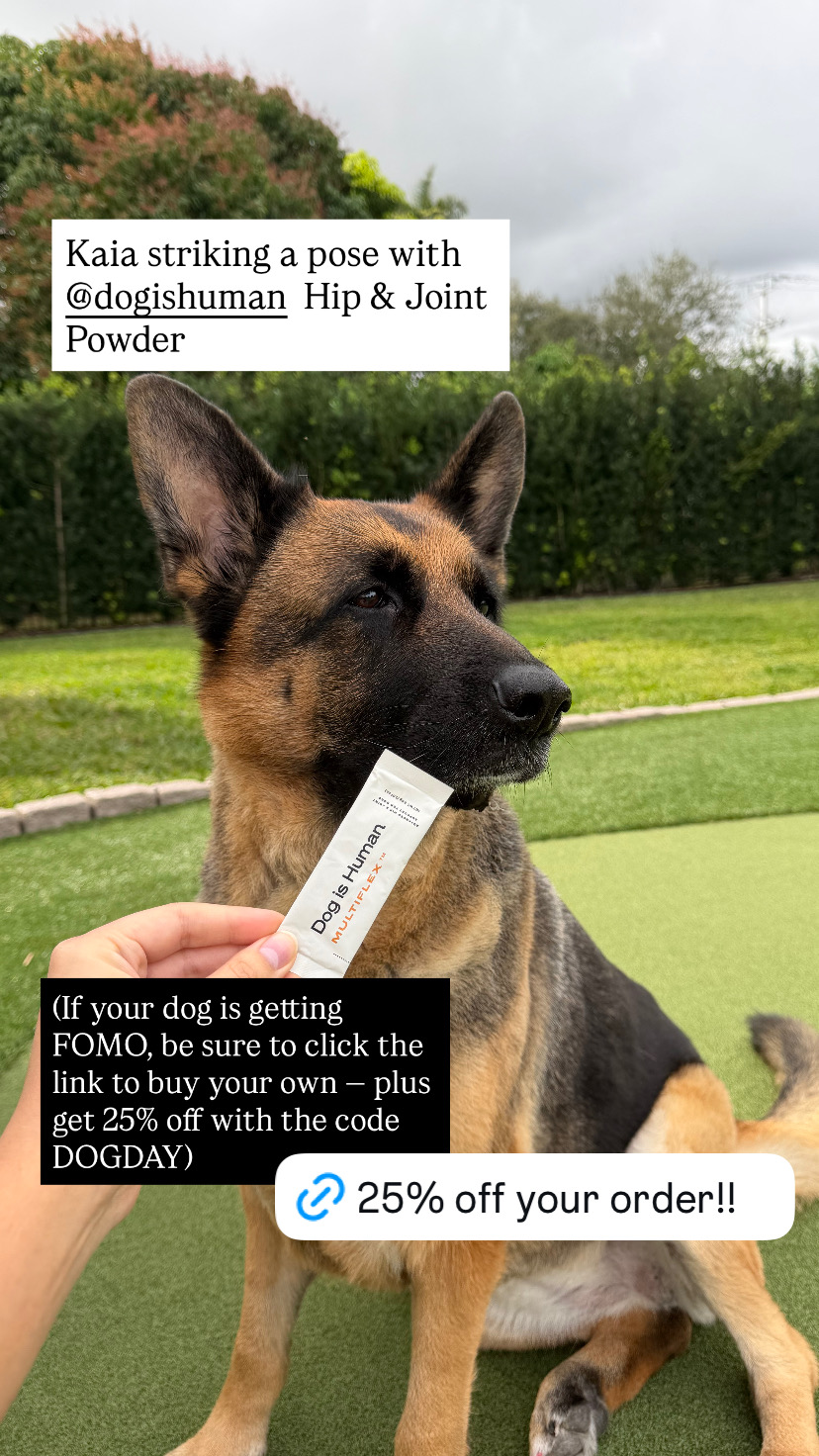Dog is Human Facebook ad