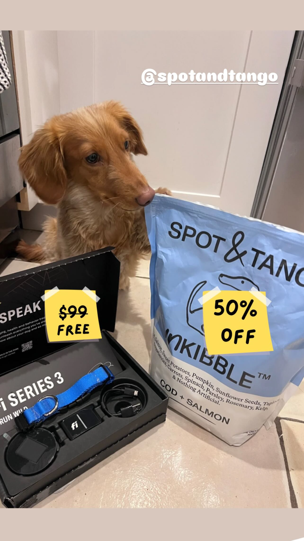 Noodleyorkcity Facebook ad: 50% Off + FREE Fi Collar ($99 Value)