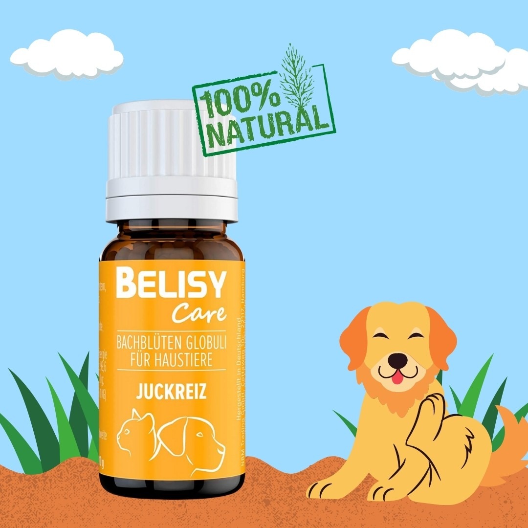 Belisy Facebook ad