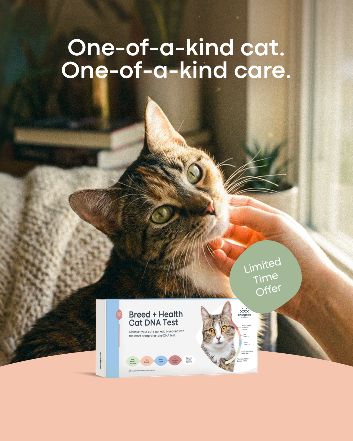 Basepaws Facebook ad: Beyond the Purr