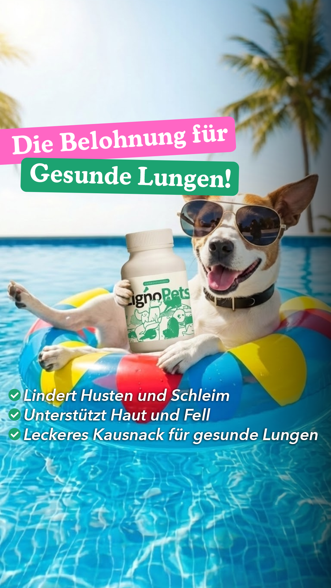 Lignosus Europe Facebook ad