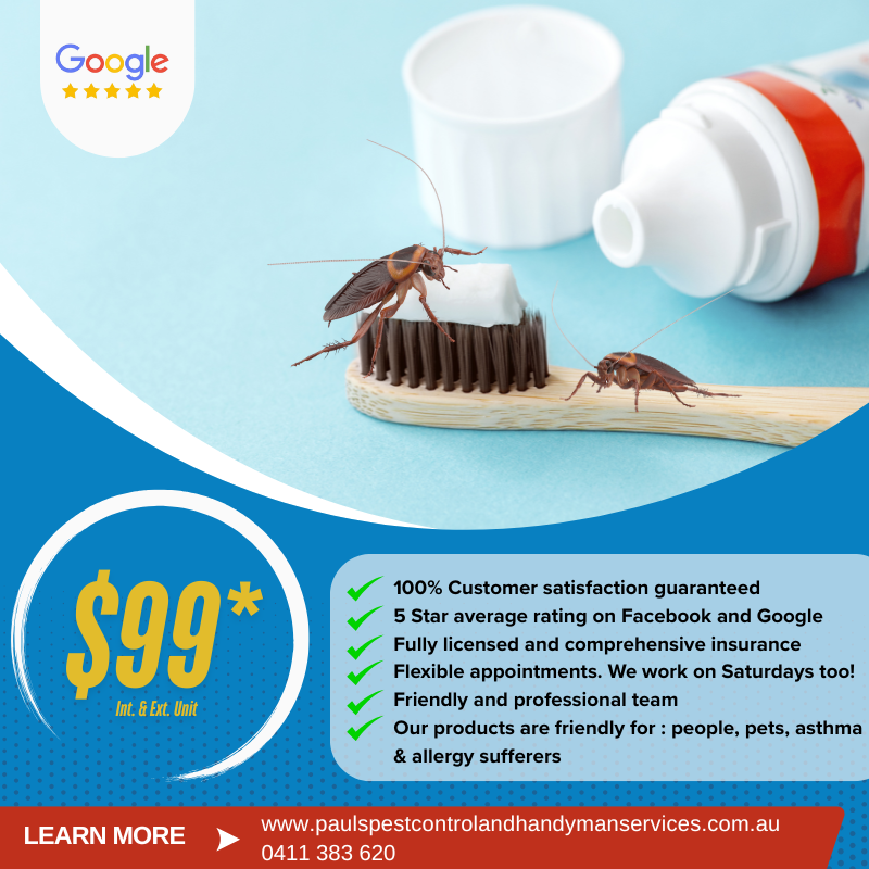 Pauls Pest Control and Handyman Services Facebook ad from Mar 13, 2026