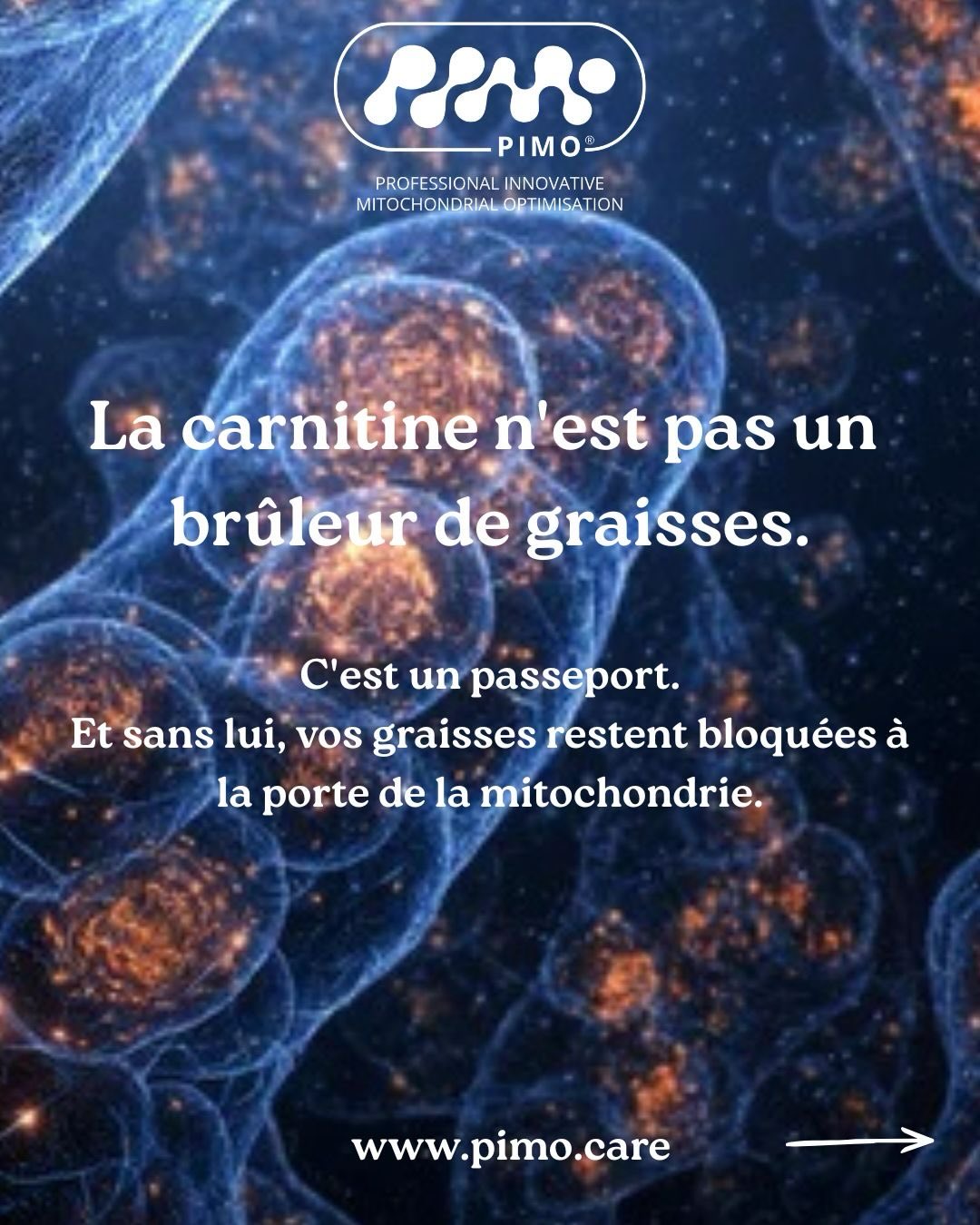 PIMO Facebook ad: La carnitine est présentée depuis des années comme…