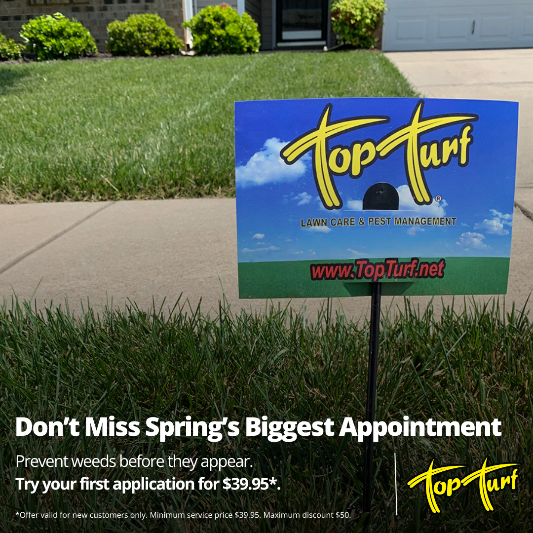 Top Turf Lawn Care and Pest Management Facebook ad
