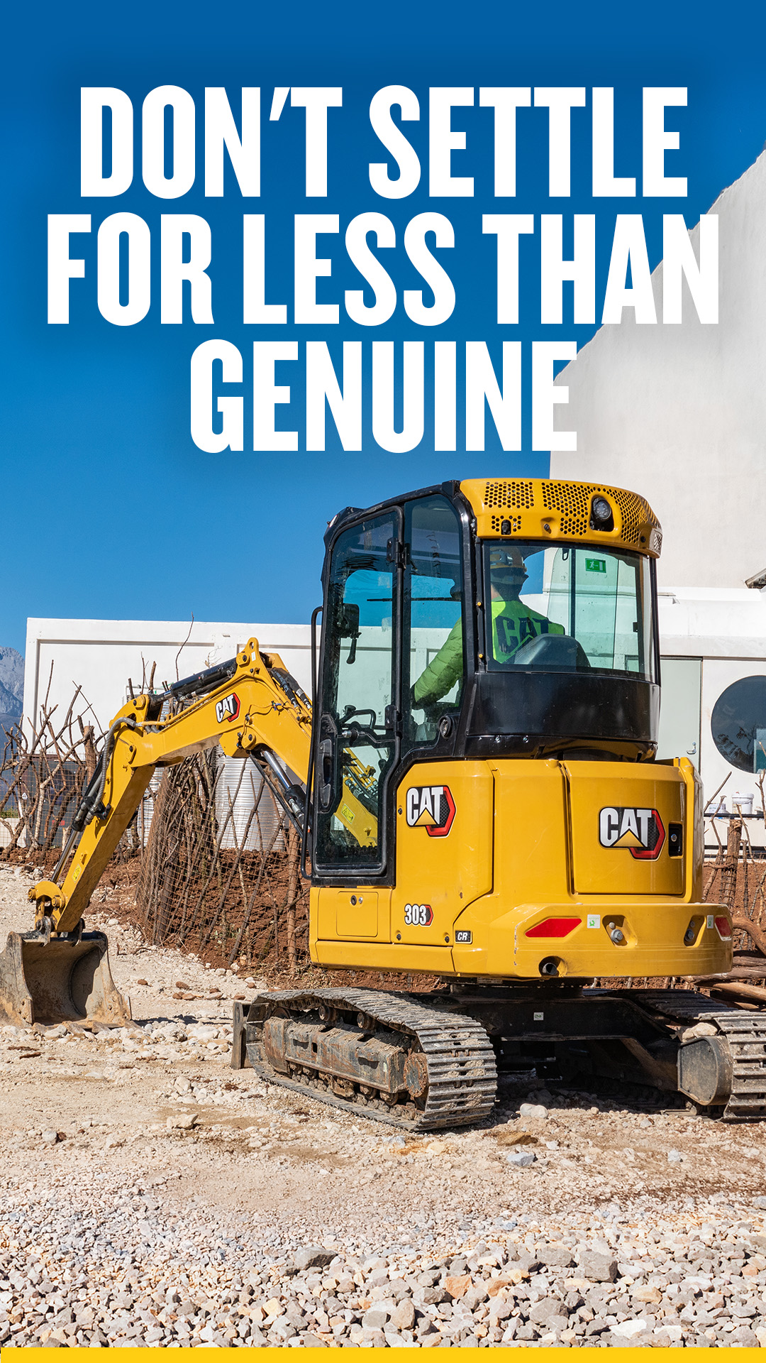 Cat Construction Facebook ad