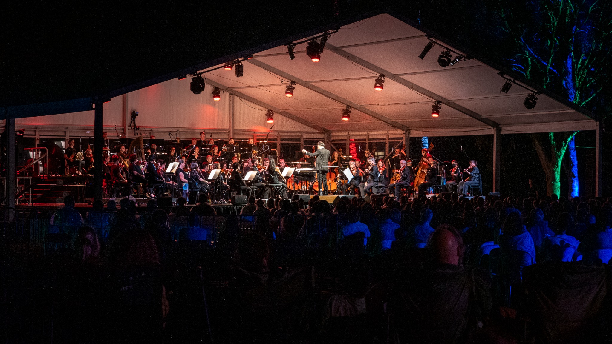 Munro Martin Parklands Facebook ad: Orchestra under the stars.