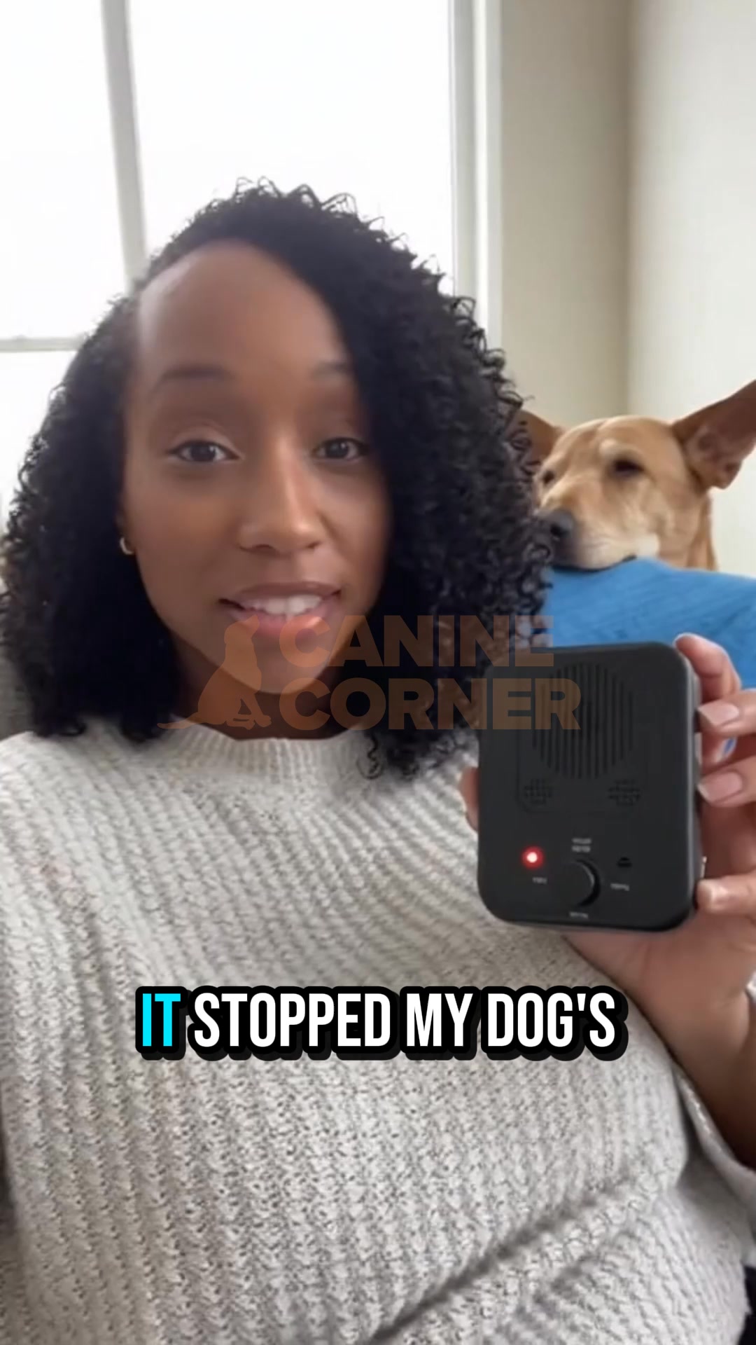 Canine Corner Australia Facebook ad: Stop Excessive Barking in 30 Days