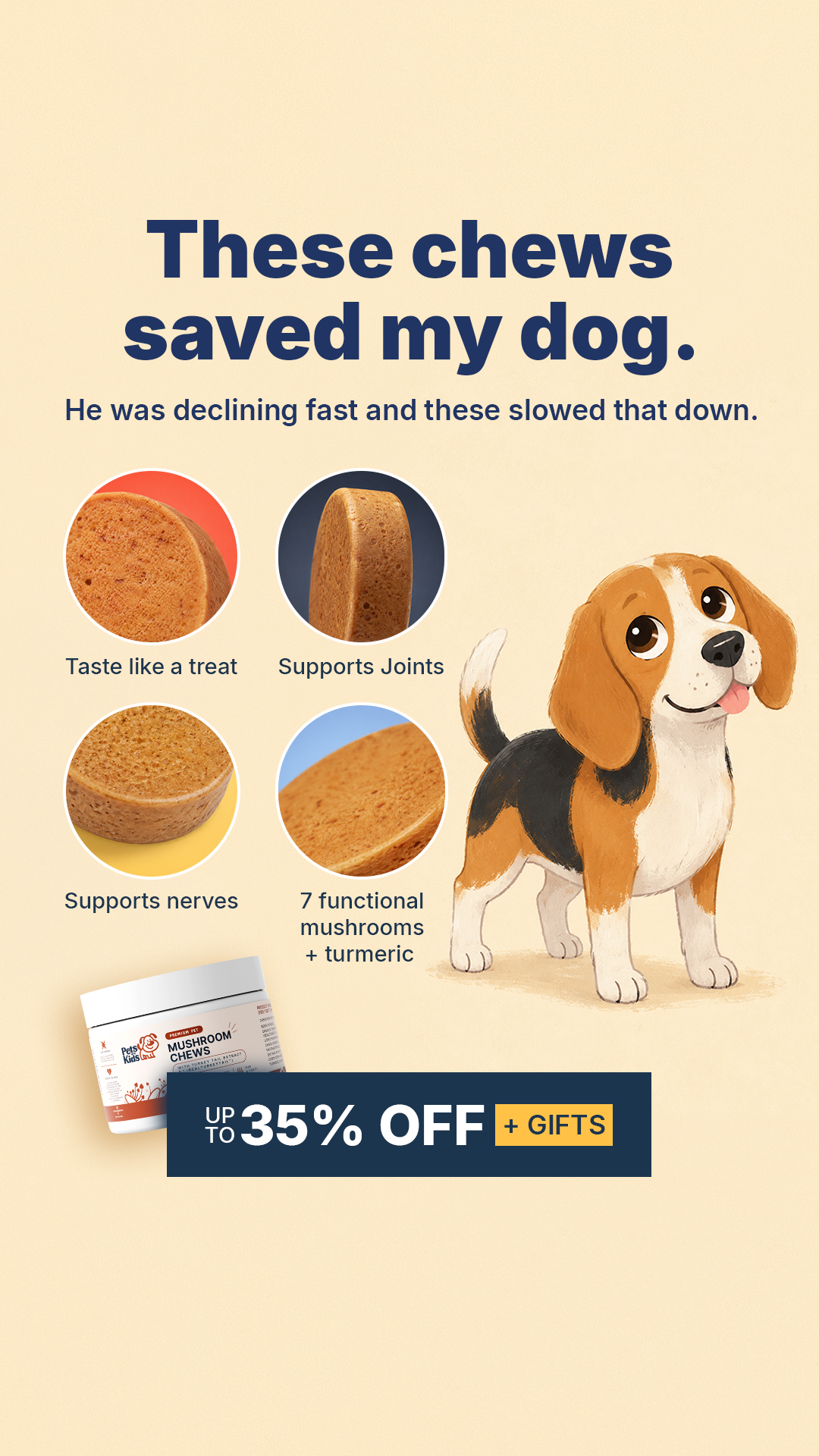 Pets Are Kids Facebook ad