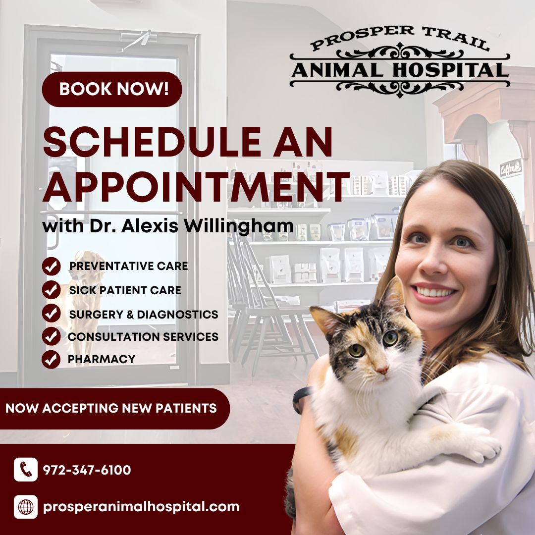 Prosper Trail Animal Hospital Facebook ad: Where Your Pet Matters