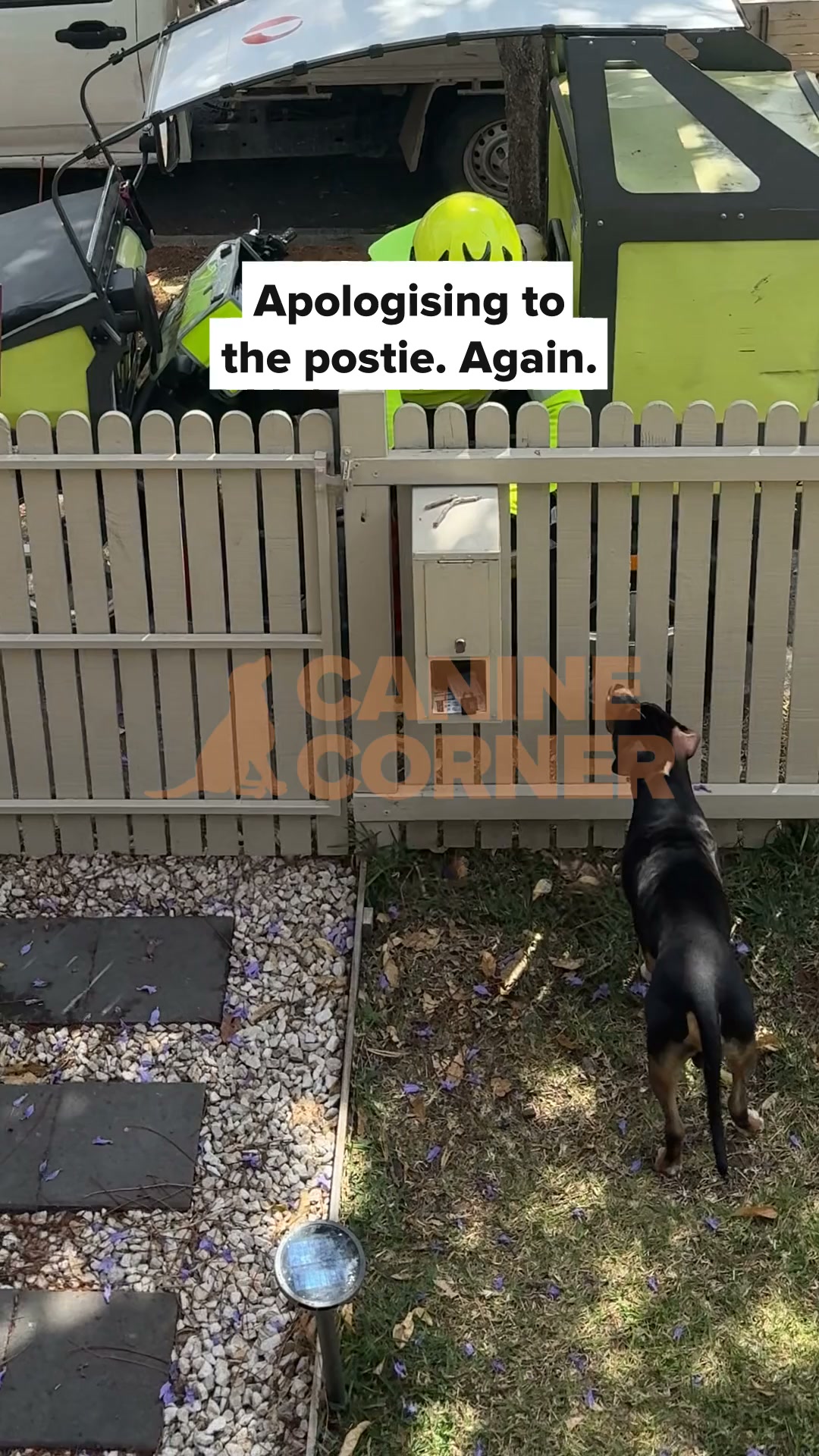 Canine Corner Australia Facebook ad: Saying sorry to the postie?