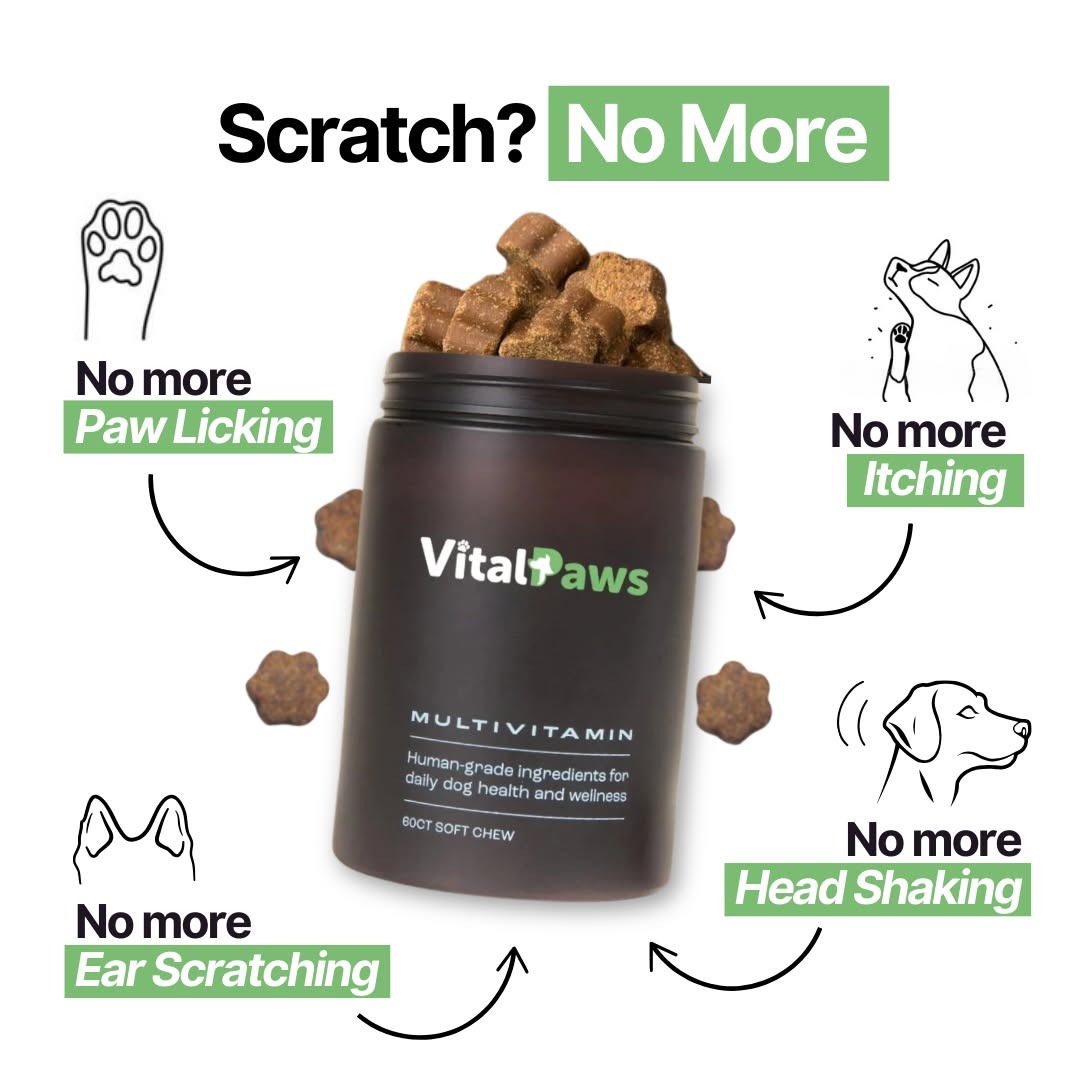 VitalPaws Facebook ad