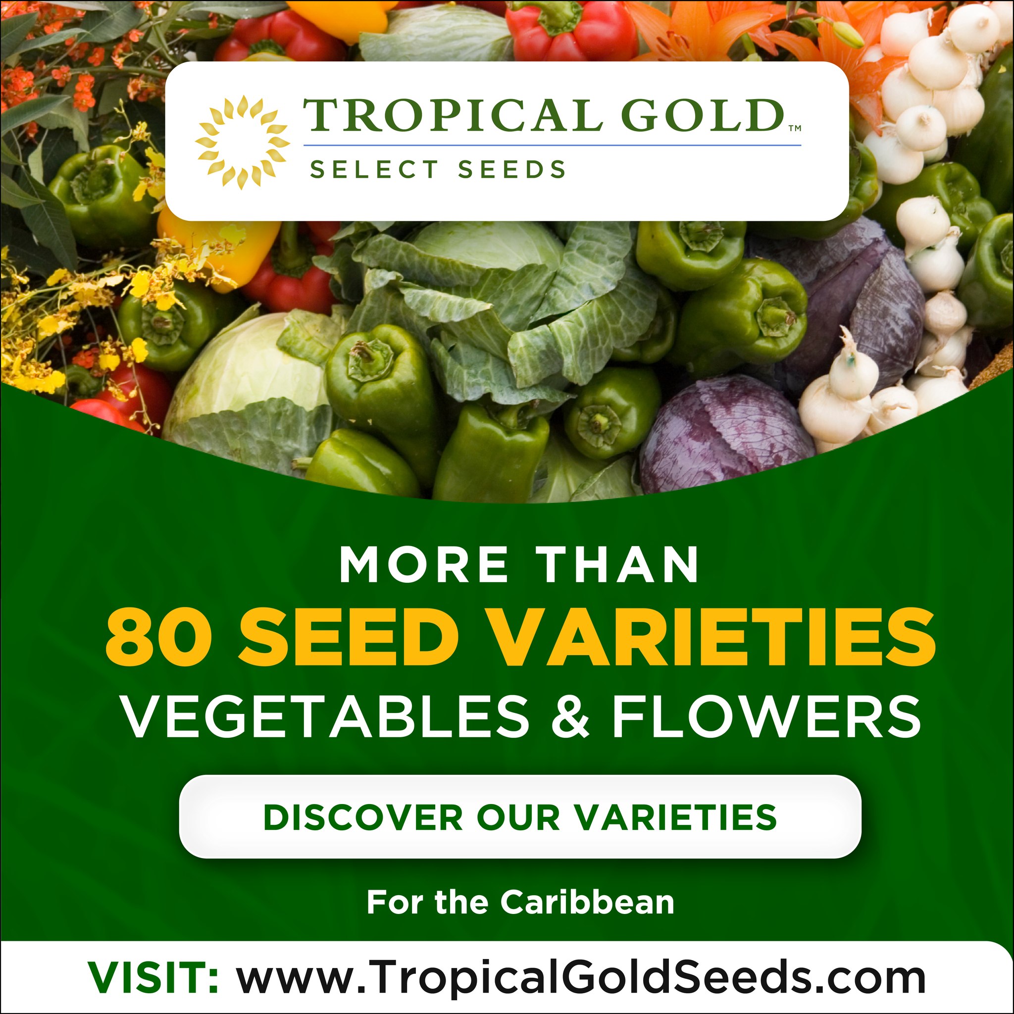 Tropical Gold Seeds Facebook ad: Call us for more information.