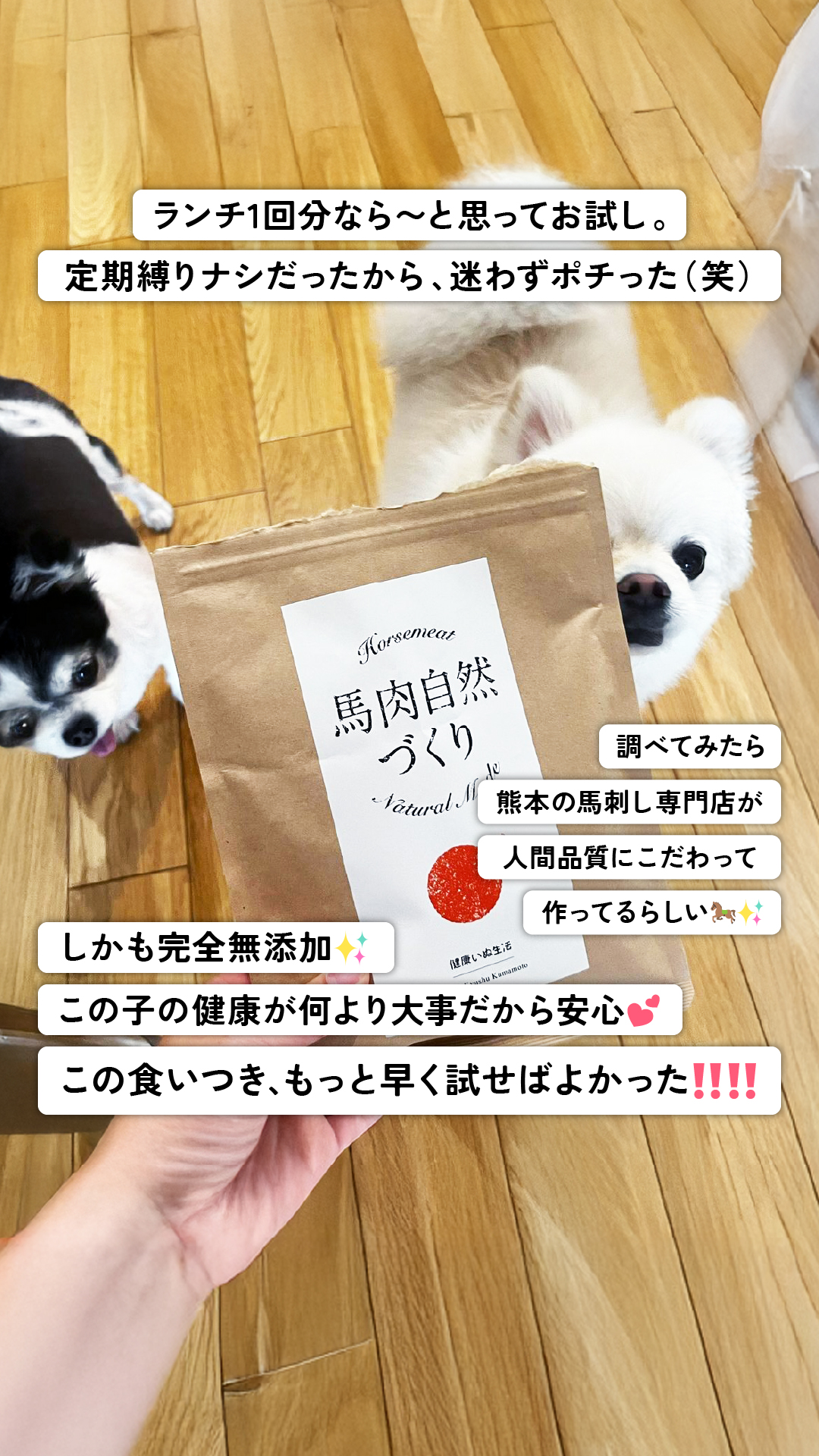 健康いぬ生活 Facebook ad