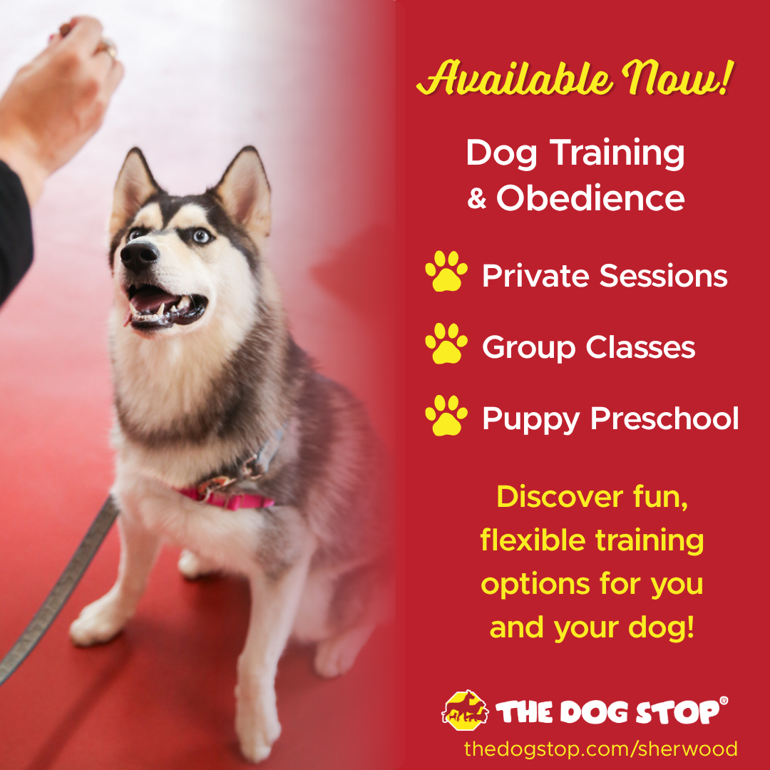The Dog Stop - Sherwood, OR Facebook ad