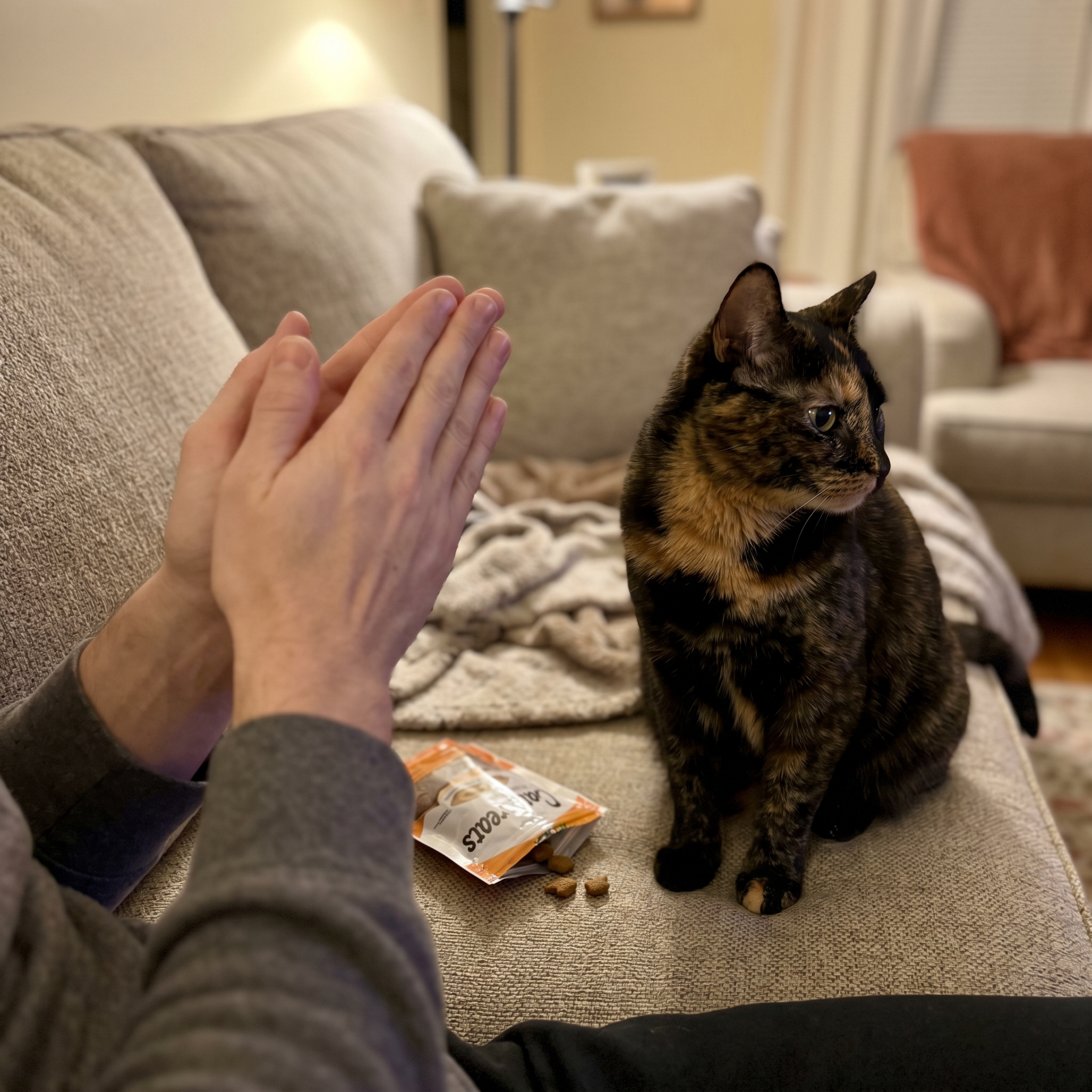 The Pet Ear Health Foundation Facebook ad: I Clapped - My Cat Didn't Turn…