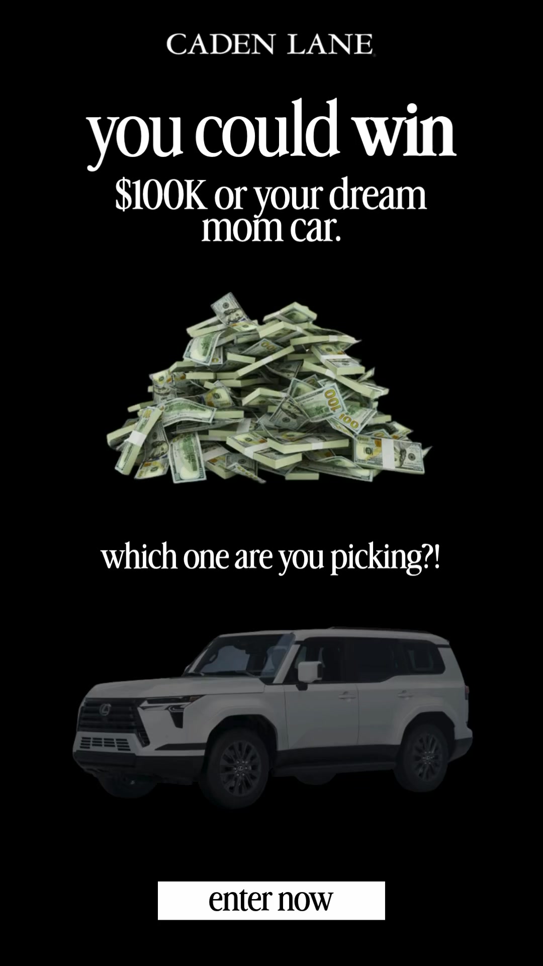 Caden Lane Facebook ad: What would you do with it?