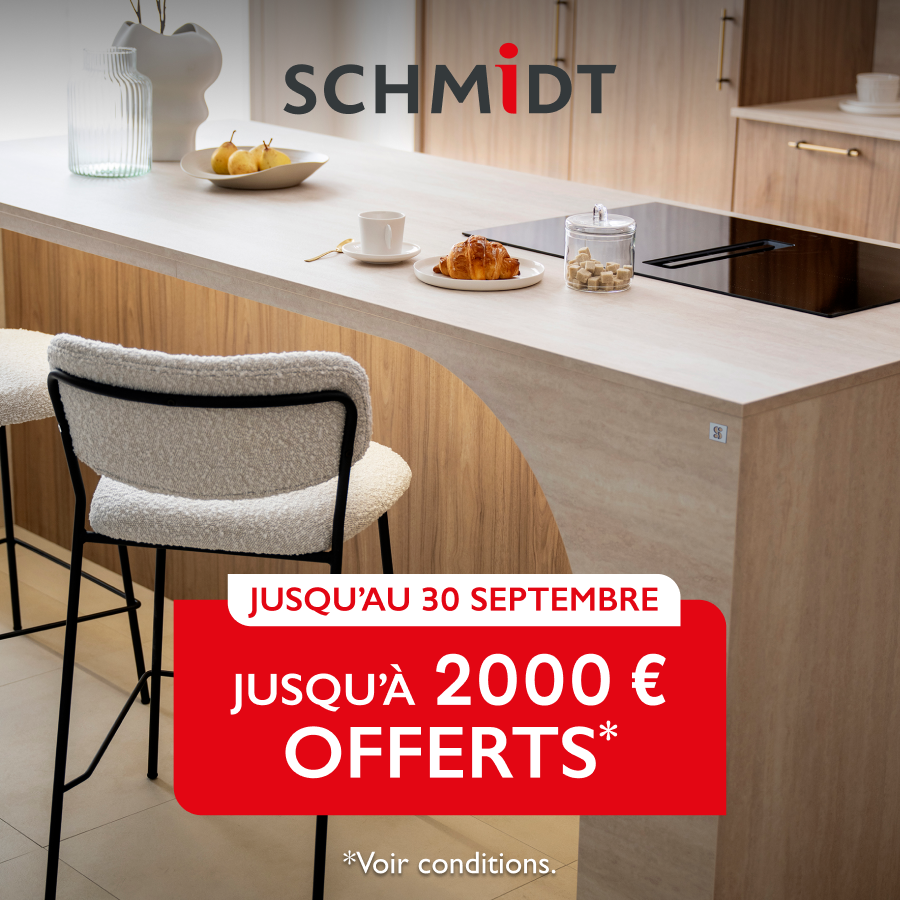 Schmidt Facebook ad