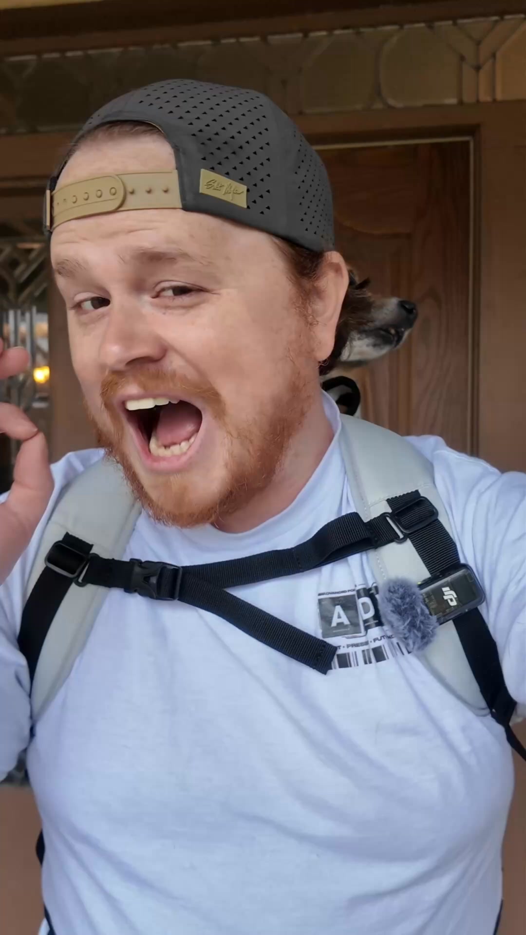 K9 Sport Sack Facebook ad: Adventure Is Better Together