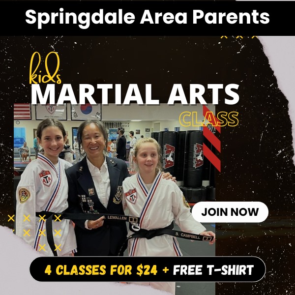 Precision Martial Arts Facebook ad: Kickstart 2025-Help Your Kids Break Free from Screen…