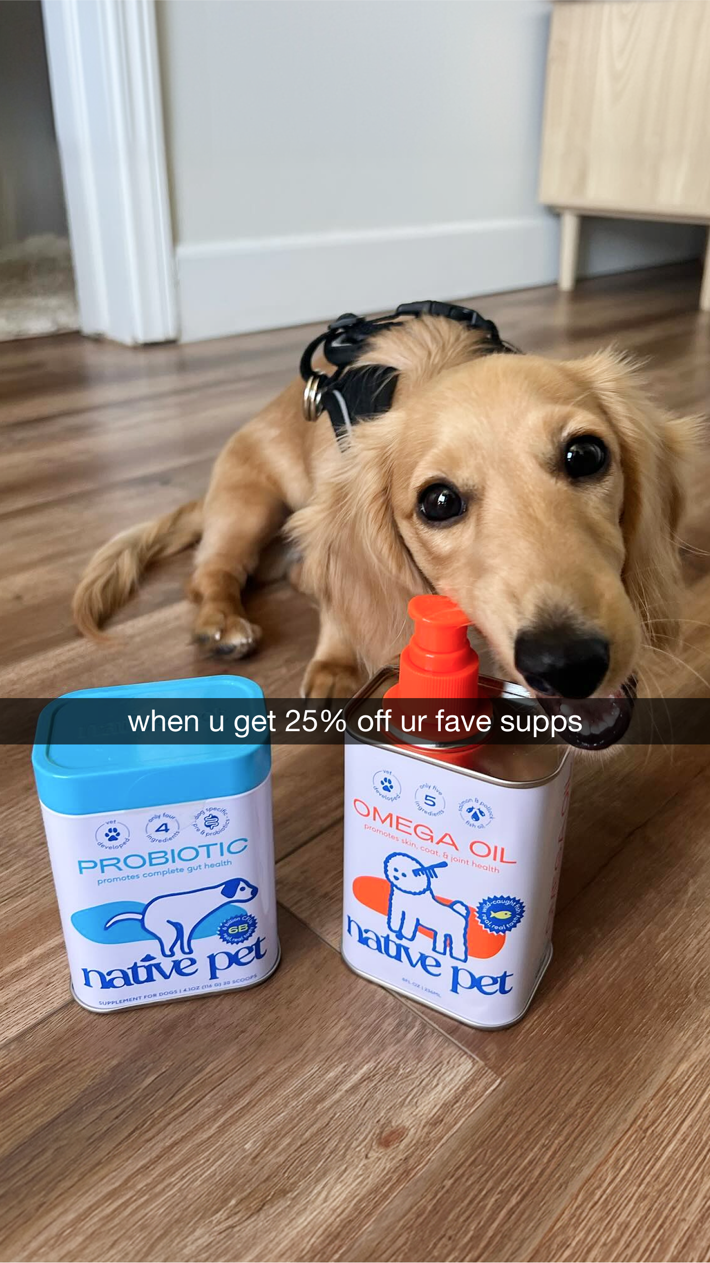 Native Pet Facebook ad