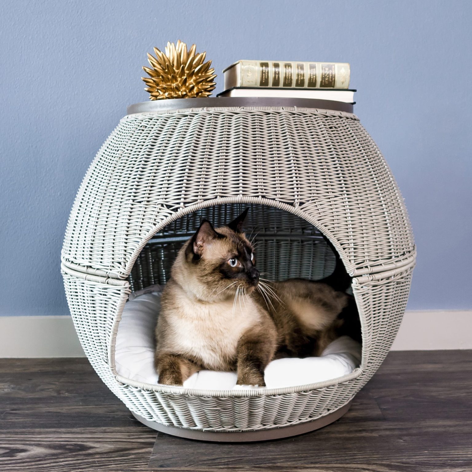 The Refined Feline Facebook ad